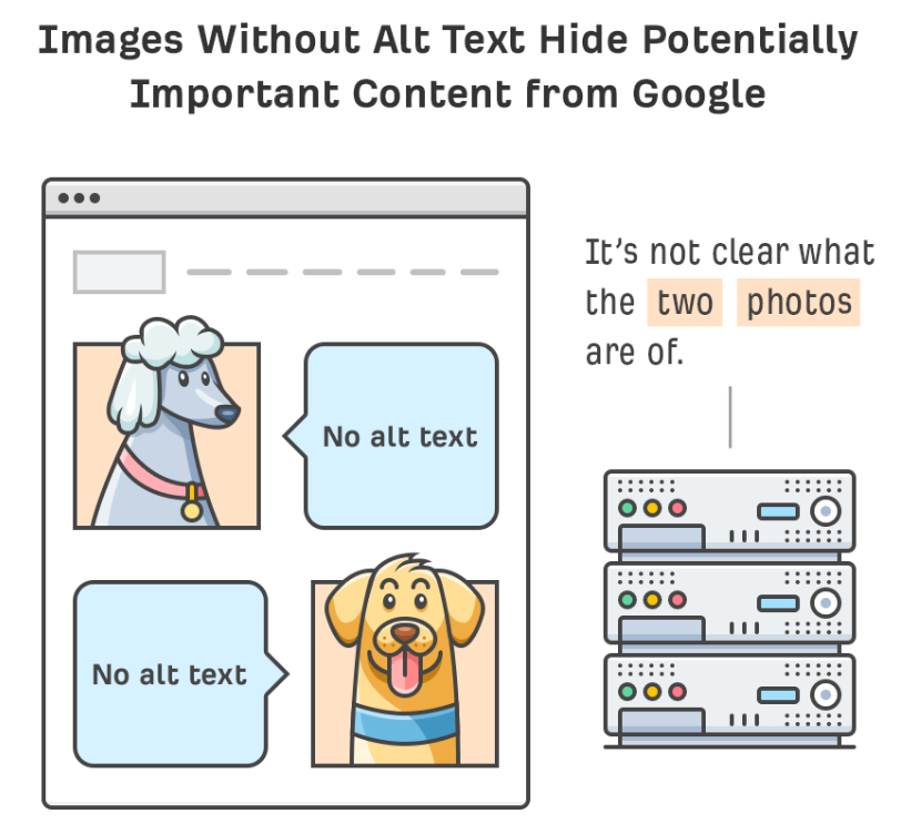 image with alt tag example